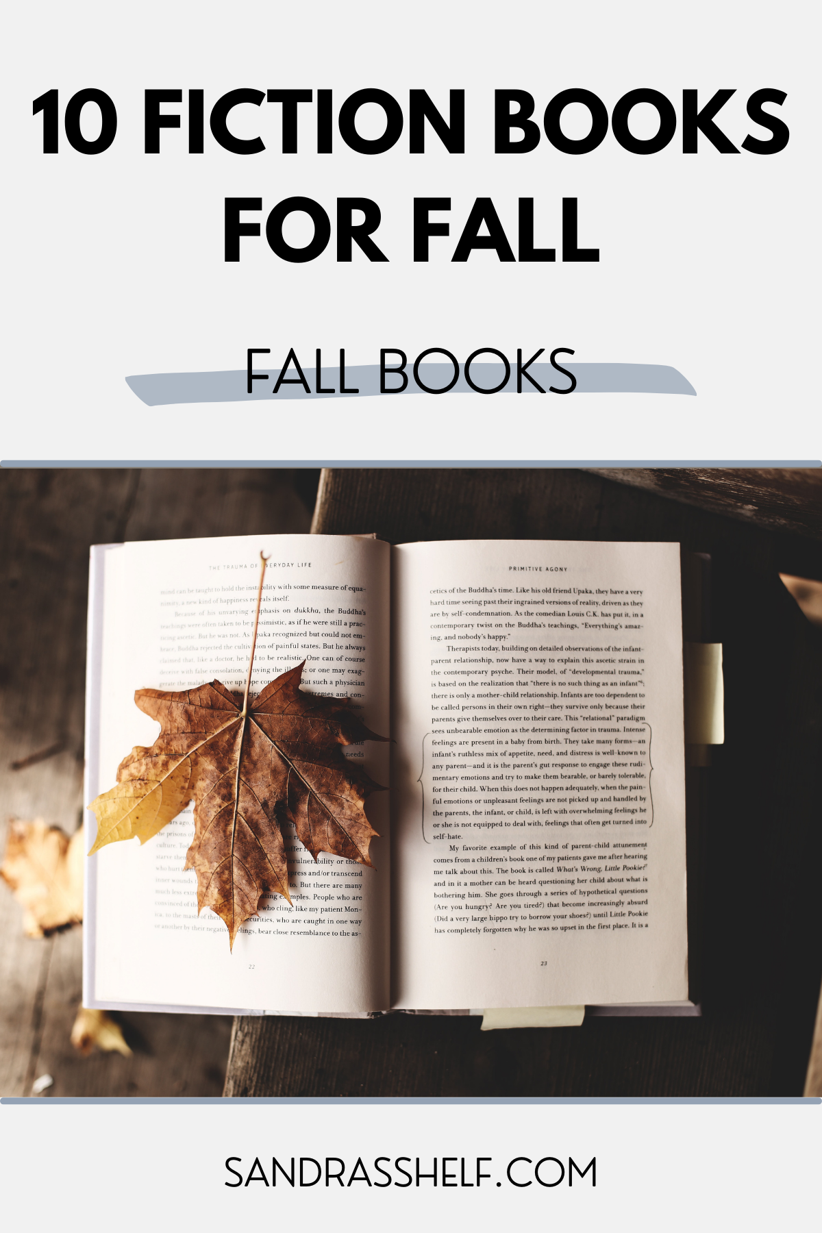 10 Books for Your Fall Reading List 2020 New Releases Edition